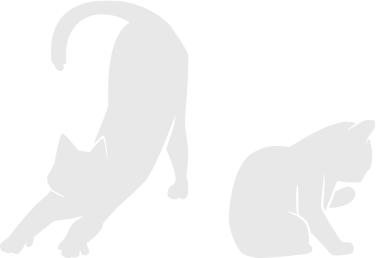 猫/2匹