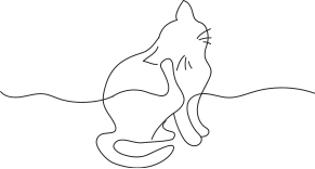 猫01