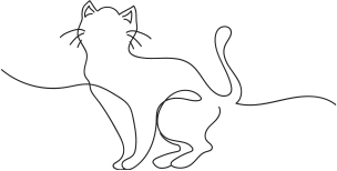猫01